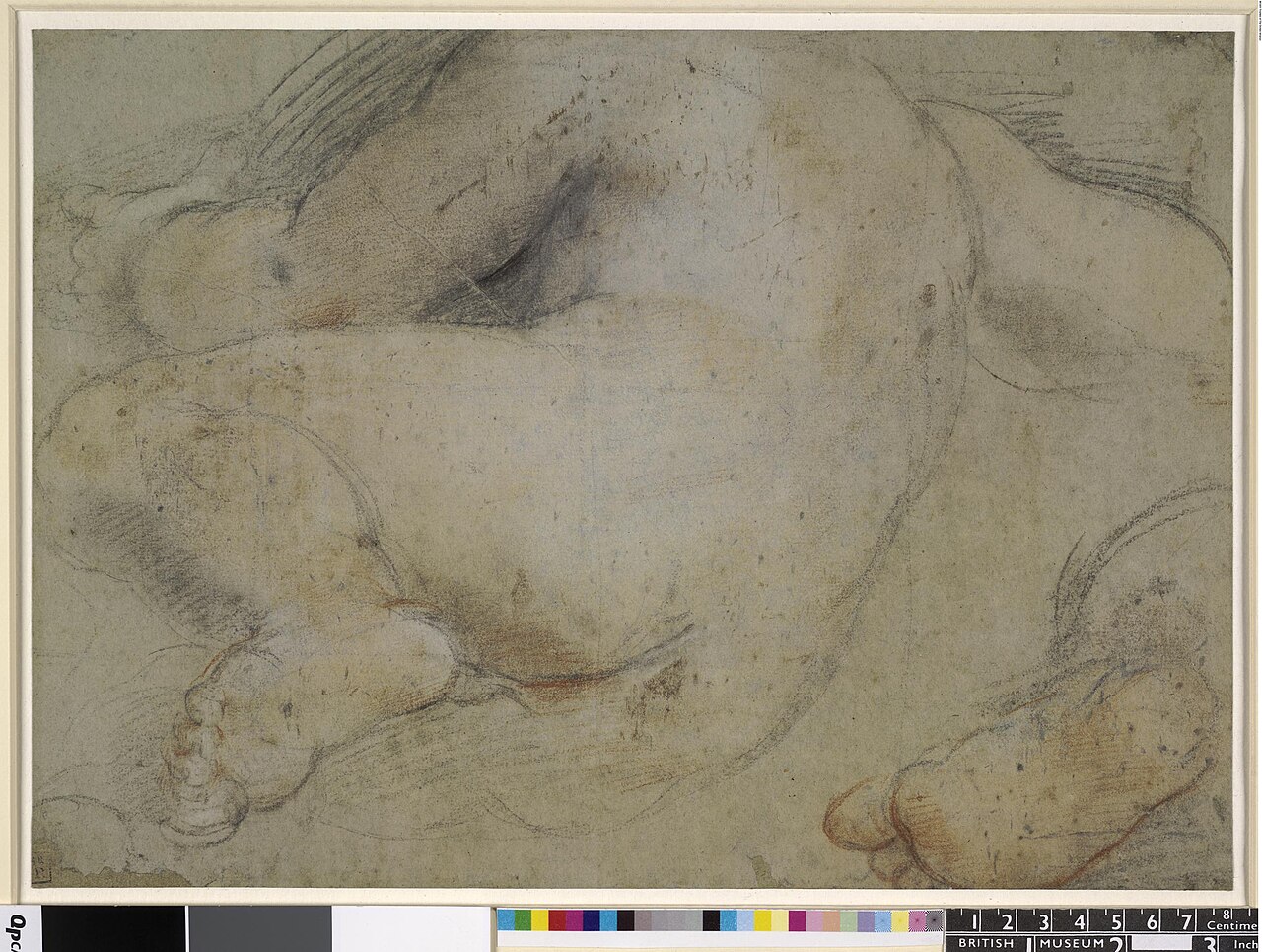 [PIEDI] Barocci - A reclining nude infant, seen from behind, and a separate study of the right foot, Pp,3.200 — Federico Barocci