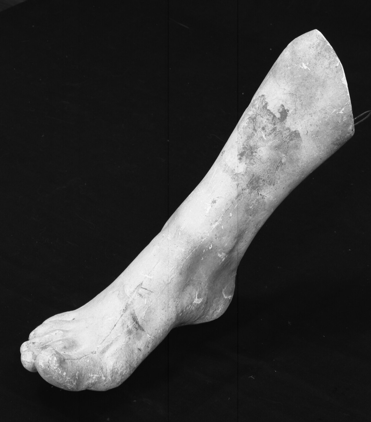 [PIEDI] Andrea Malfatti – Piede destro femminile — Andrea Malfatti