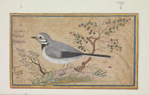 Study of a Bird — Riza-yi 'Abbasi
