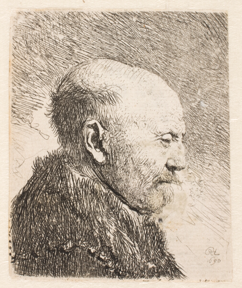 Skaldet mand i profil (Rembrandts fader?) — Rembrandt van Rijn