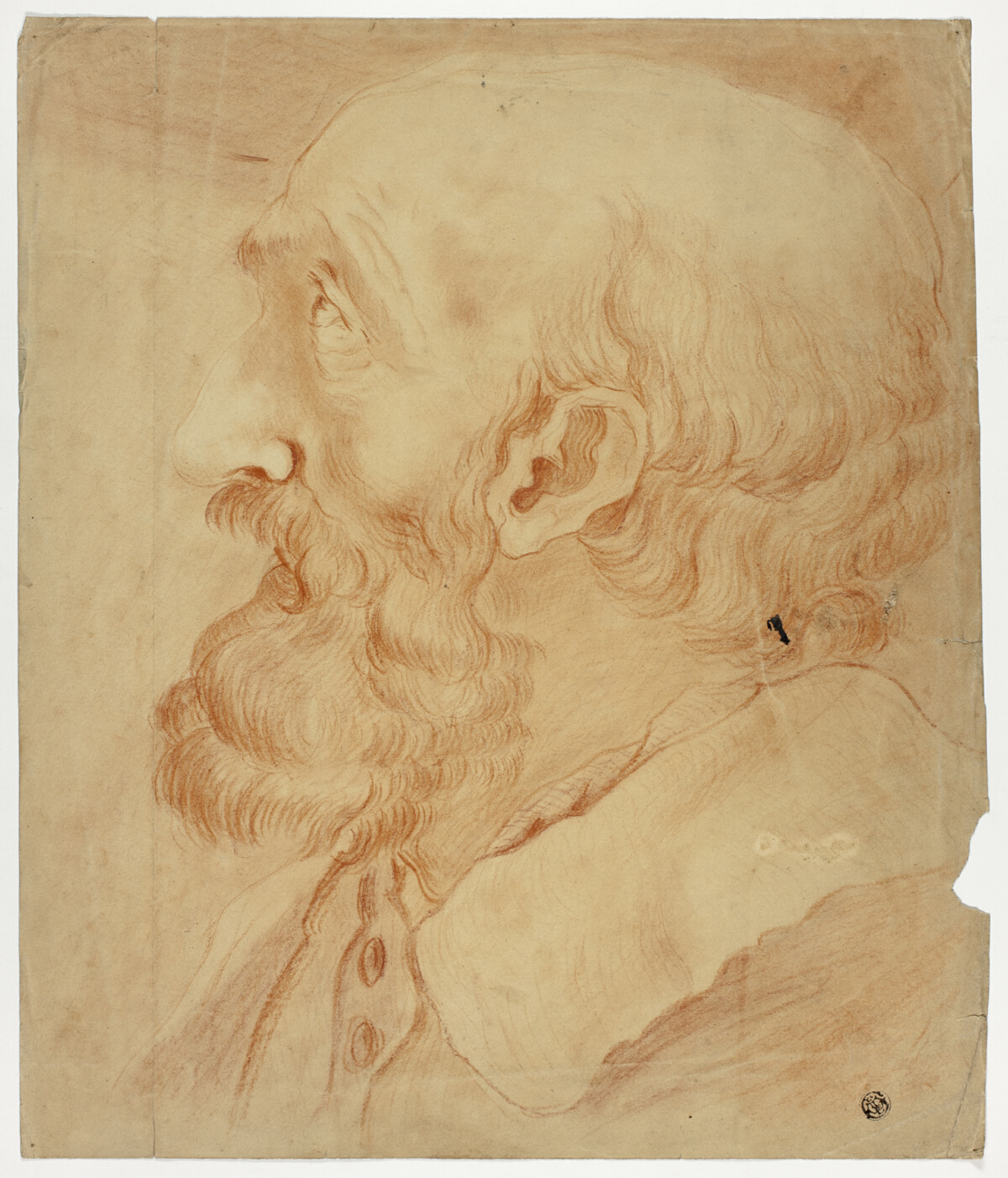 Head of Bearded Man in Profile — Unbekannter Künstler