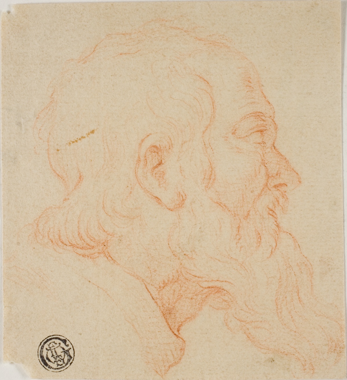 Head of Old Man in Profile to Right — Follower of Simone Cantarini