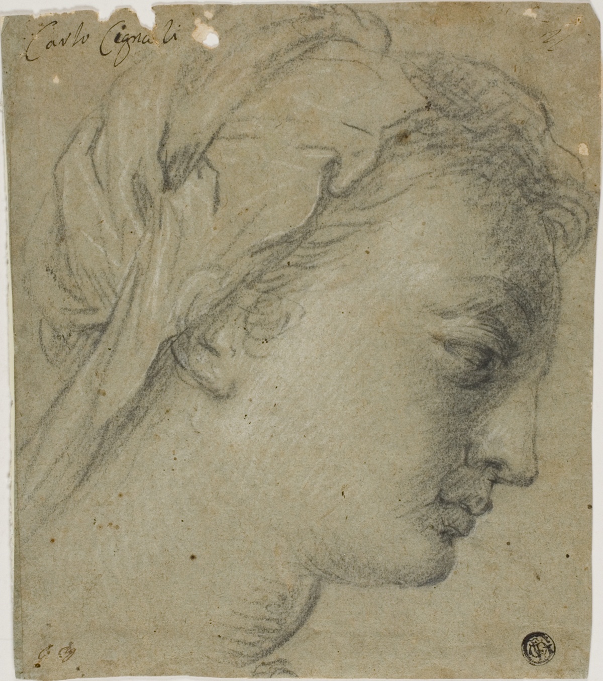 Female Head in Profile to Right — Carlo Cignani
