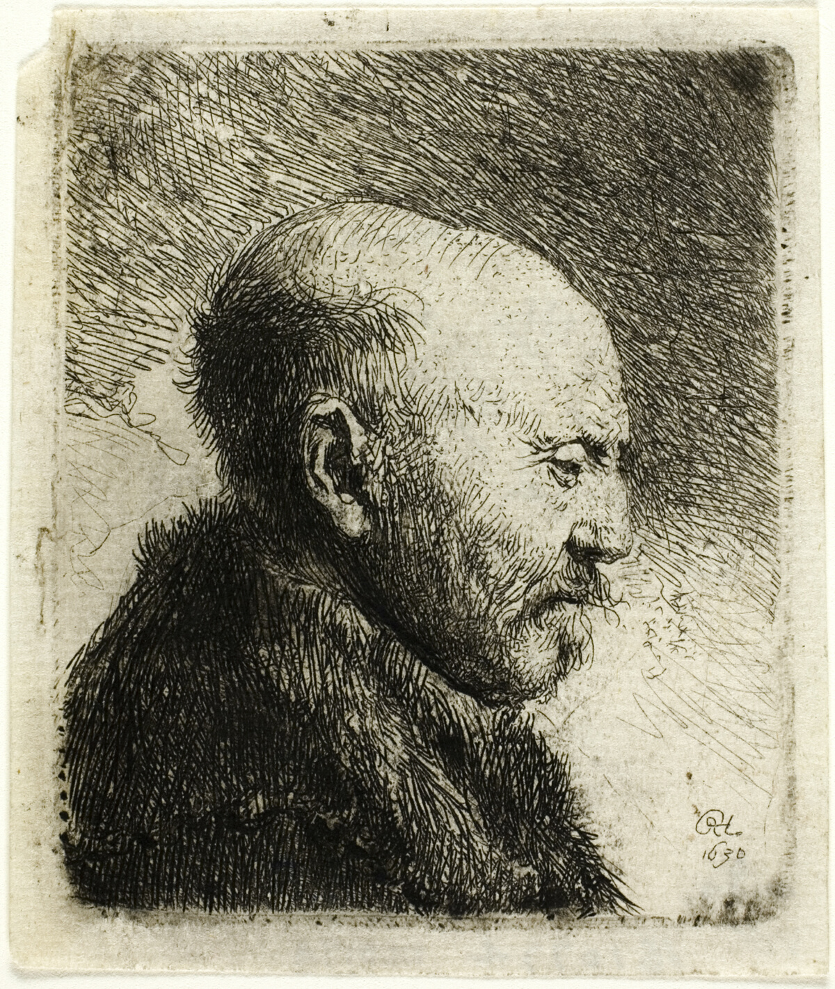 Bald Headed Man in Profile Right: The Artist's Father (?) — Rembrandt van Rijn