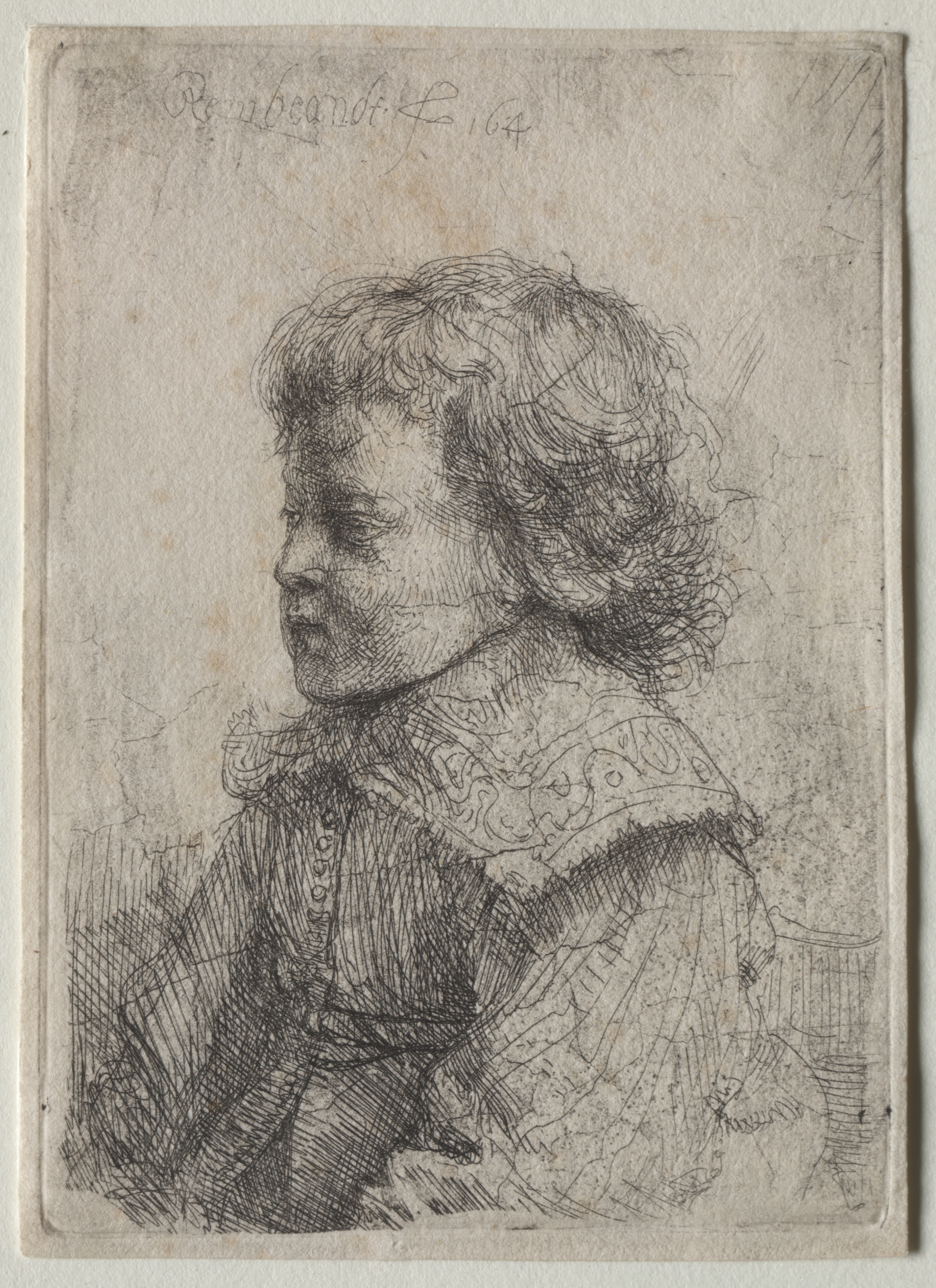 Portrait of a Boy in Profile — Rembrandt van Rijn