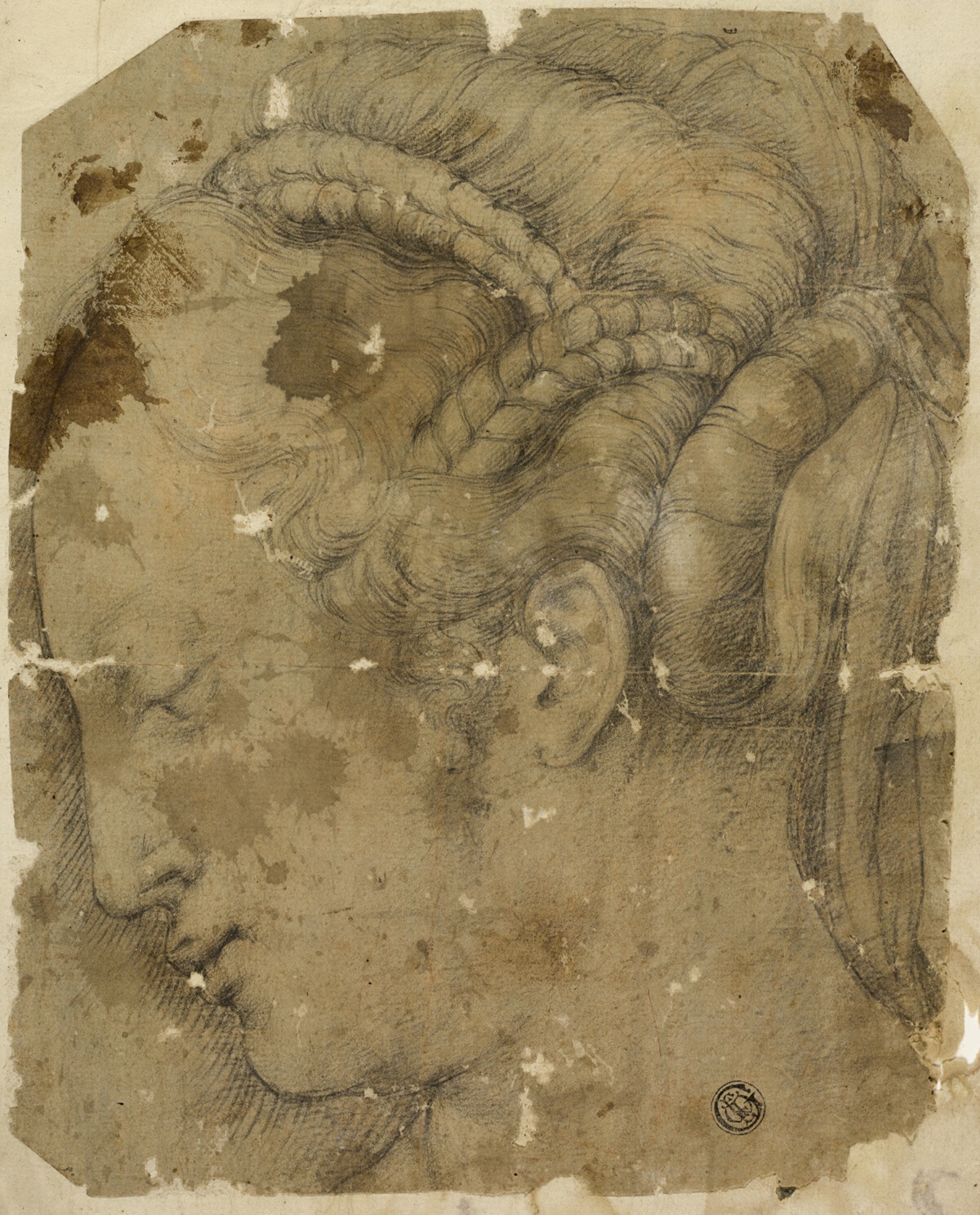 Female Head in Profile to Left — Giorgio Vasari