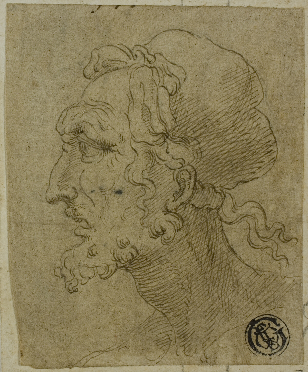 Male Head in Profile — Baldassare Peruzzi