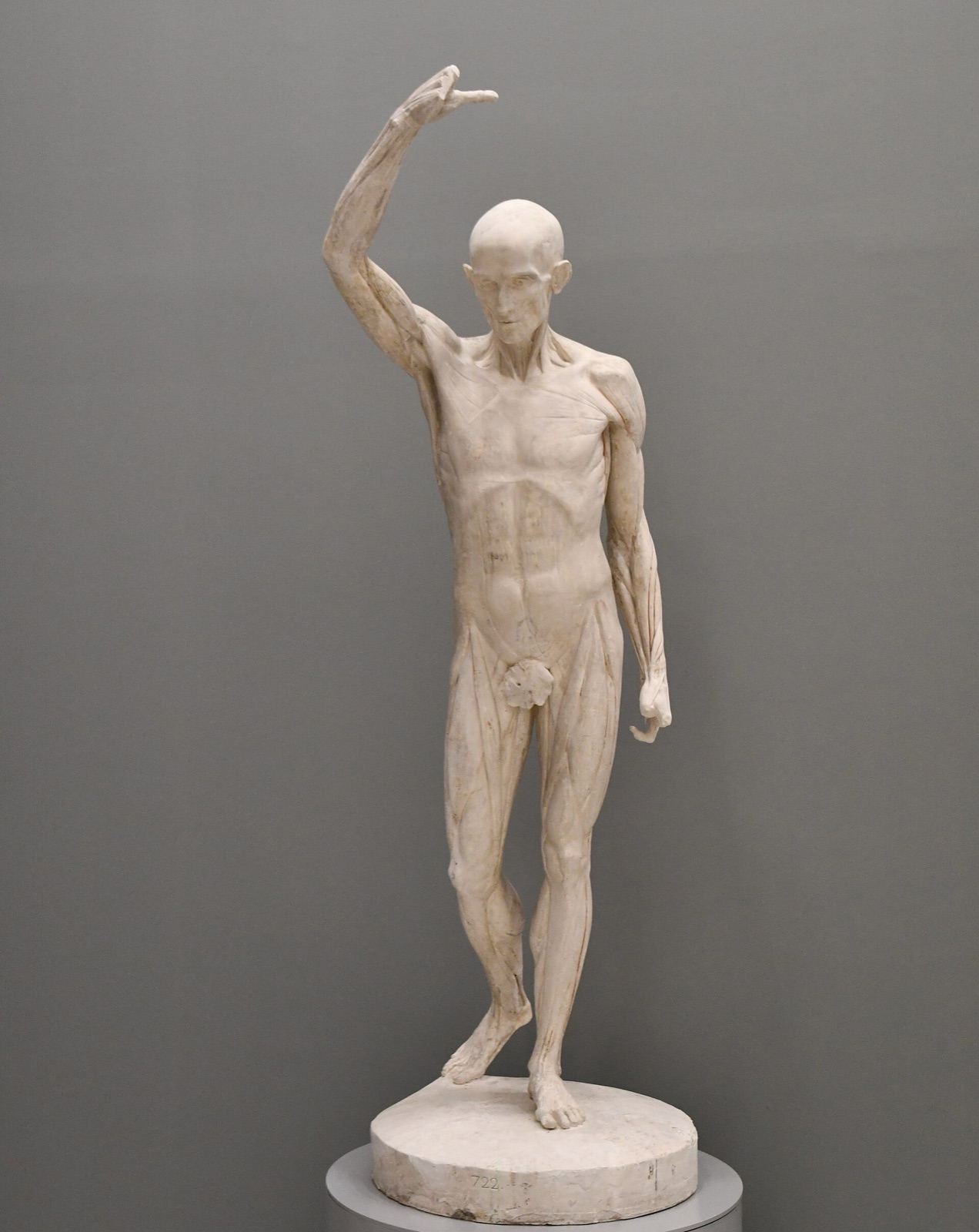 Houdon Jean Antoine, L'écorché bras levé, Musée Fabre, Montpellier — Jean-Antoine Houdon