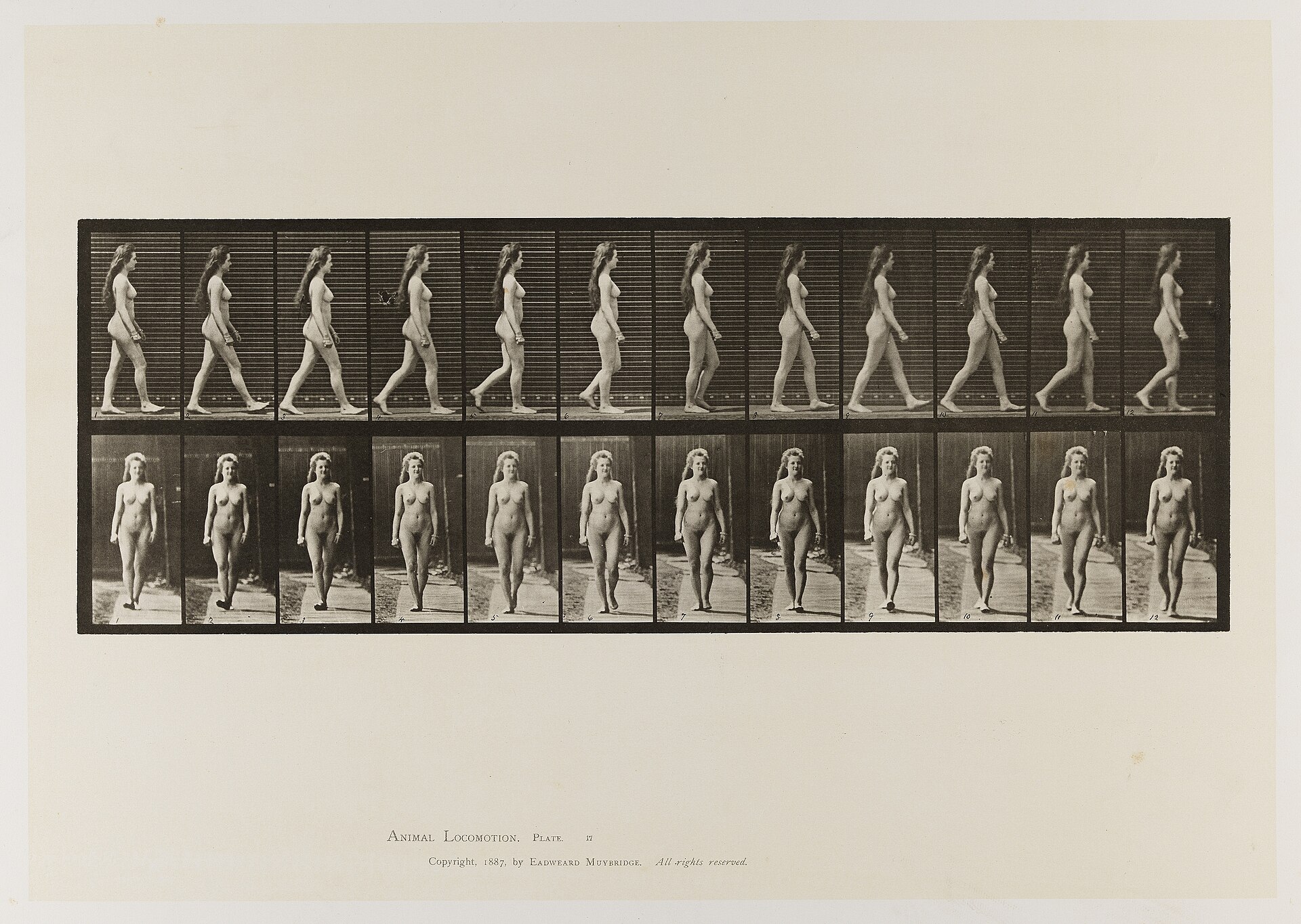 A naked woman walking. Collotype after Muybridge, 1887 Wellcome L0075736 — Unknown artist