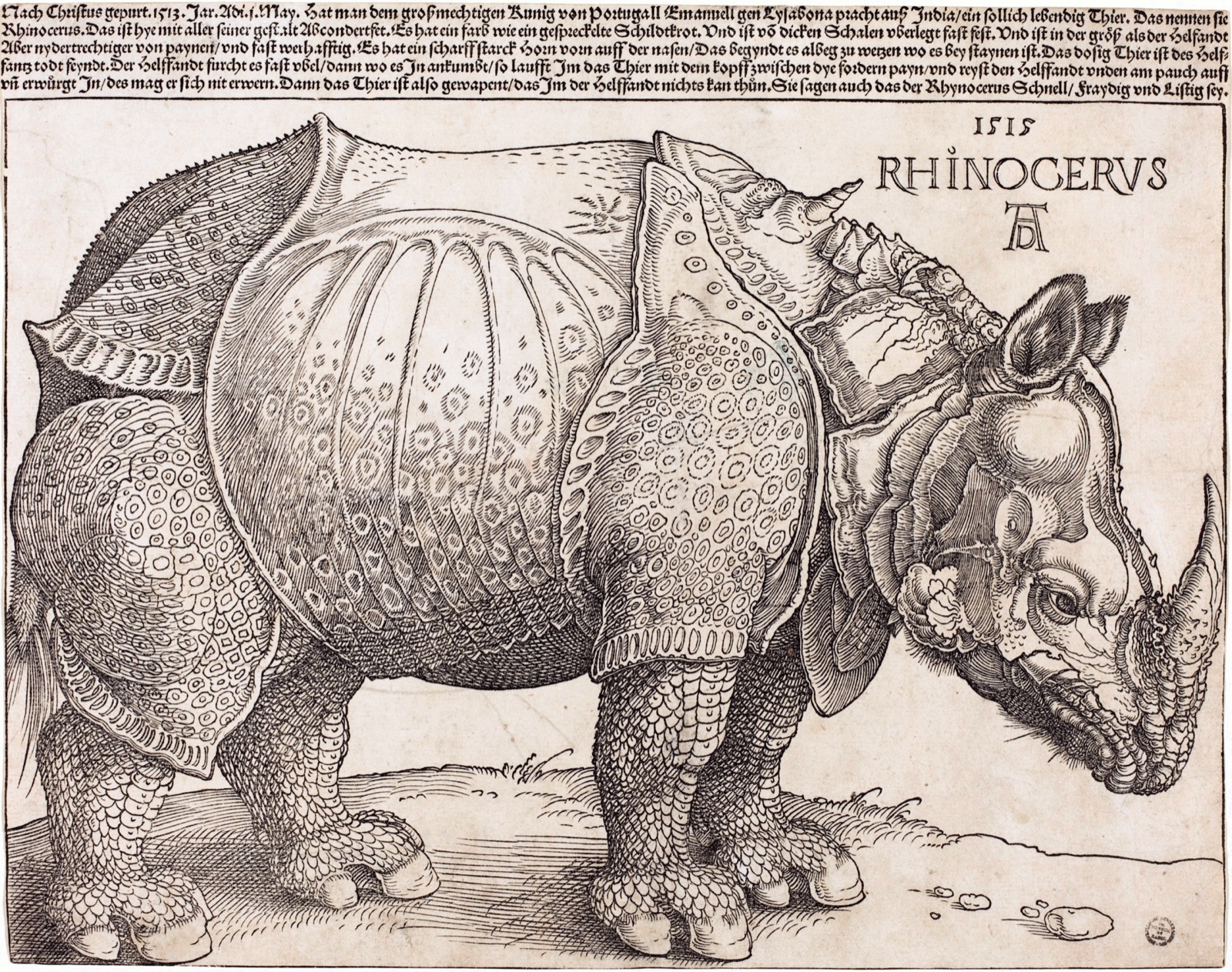 The Rhinoceros (NGA 1964.8.697) enhanced — Albrecht Dürer