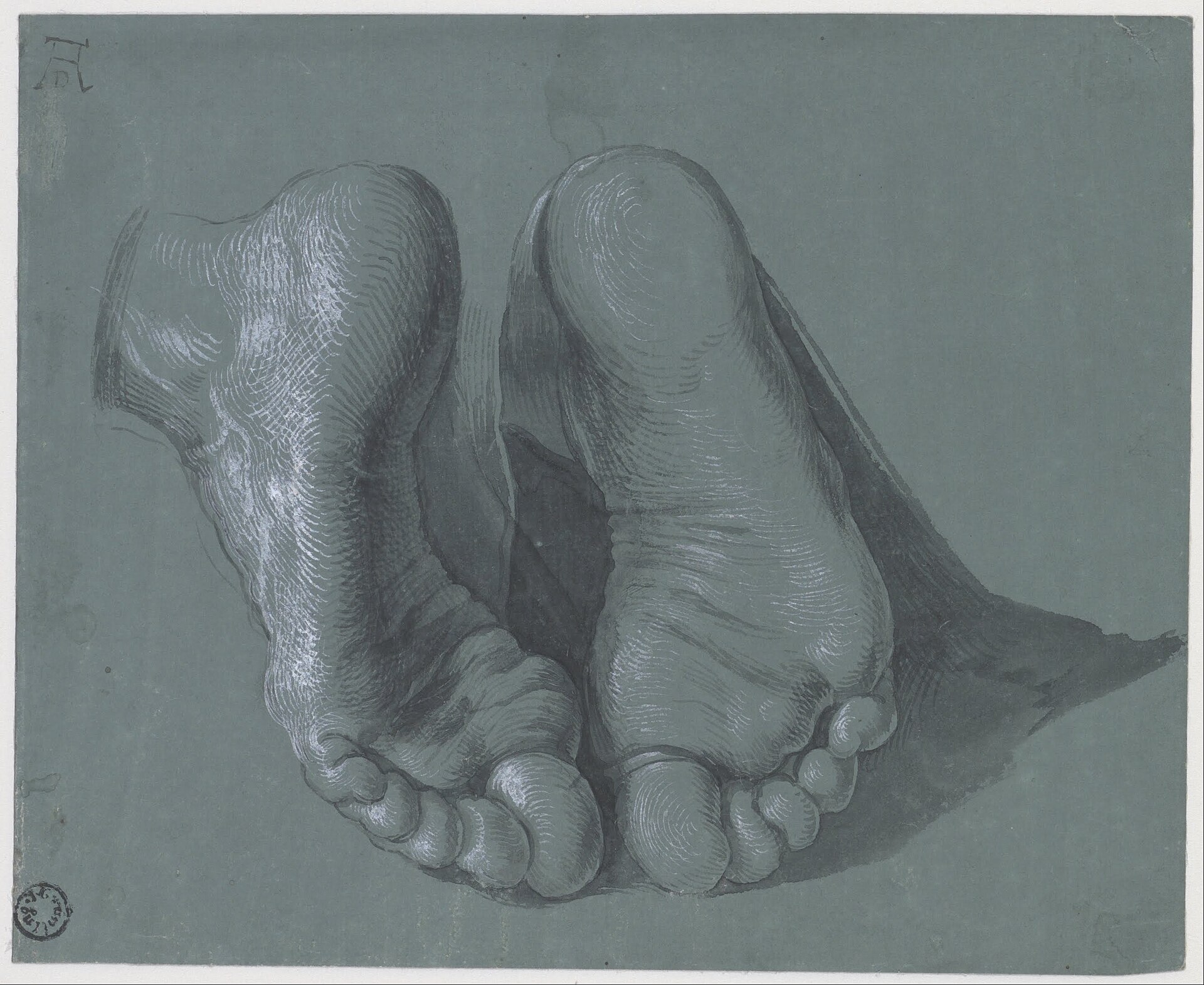 Albrecht Dürer - Study of Two Feet - Google Art Project — Albrecht Dürer
