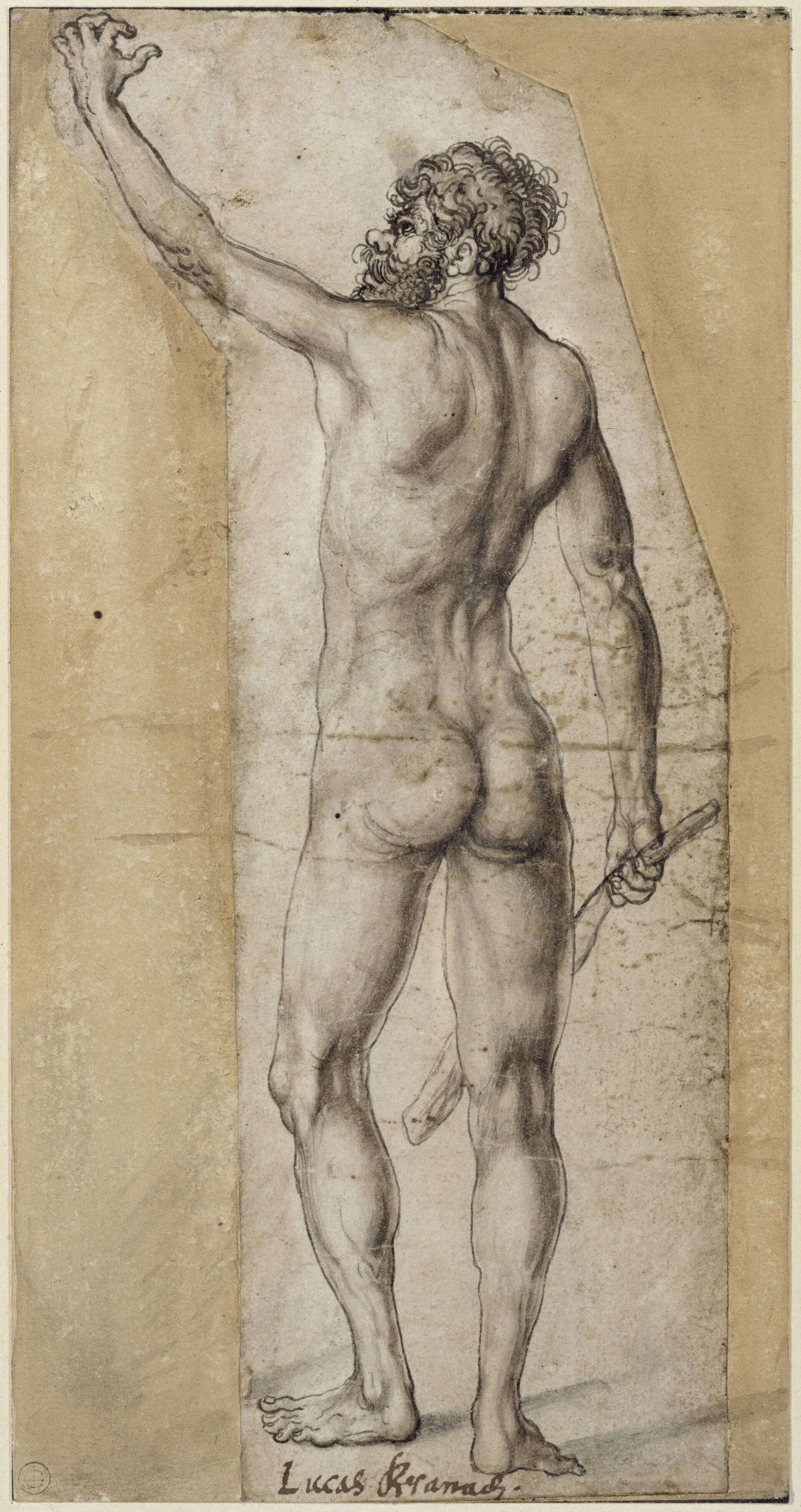 Lucas Cranach d.Ä. - Rückenakt eines stehenden Mannes — Lucas Cranach the Elder