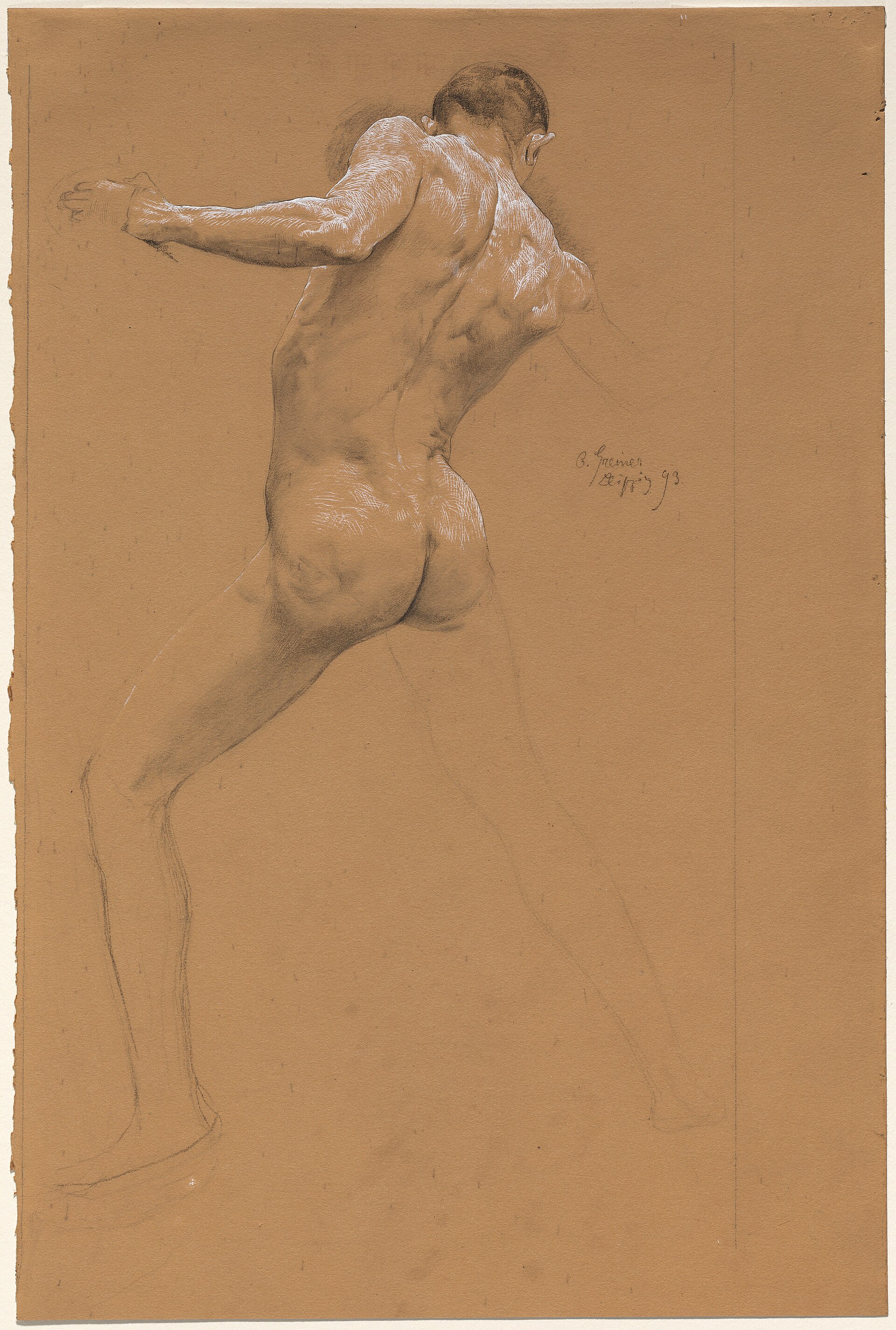 Otto Greiner, Standing Male Nude from Behind, 1893, NGA 139243 — Otto Greiner