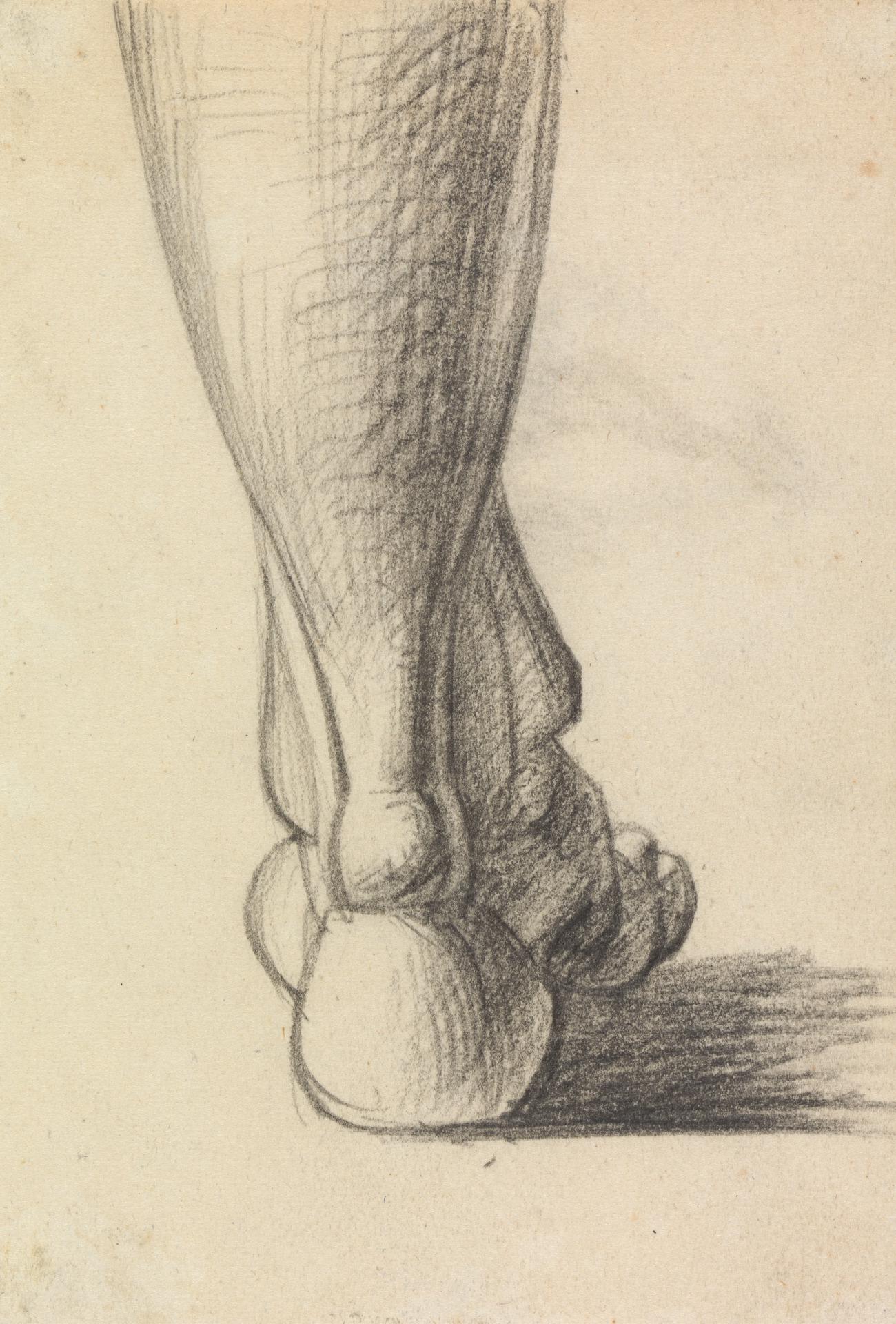 Benjamin Robert Haydon - Anatomical Study of the Heel of a Foot - B1977.14.2619 - Yale Center for British Art — Benjamin Haydon