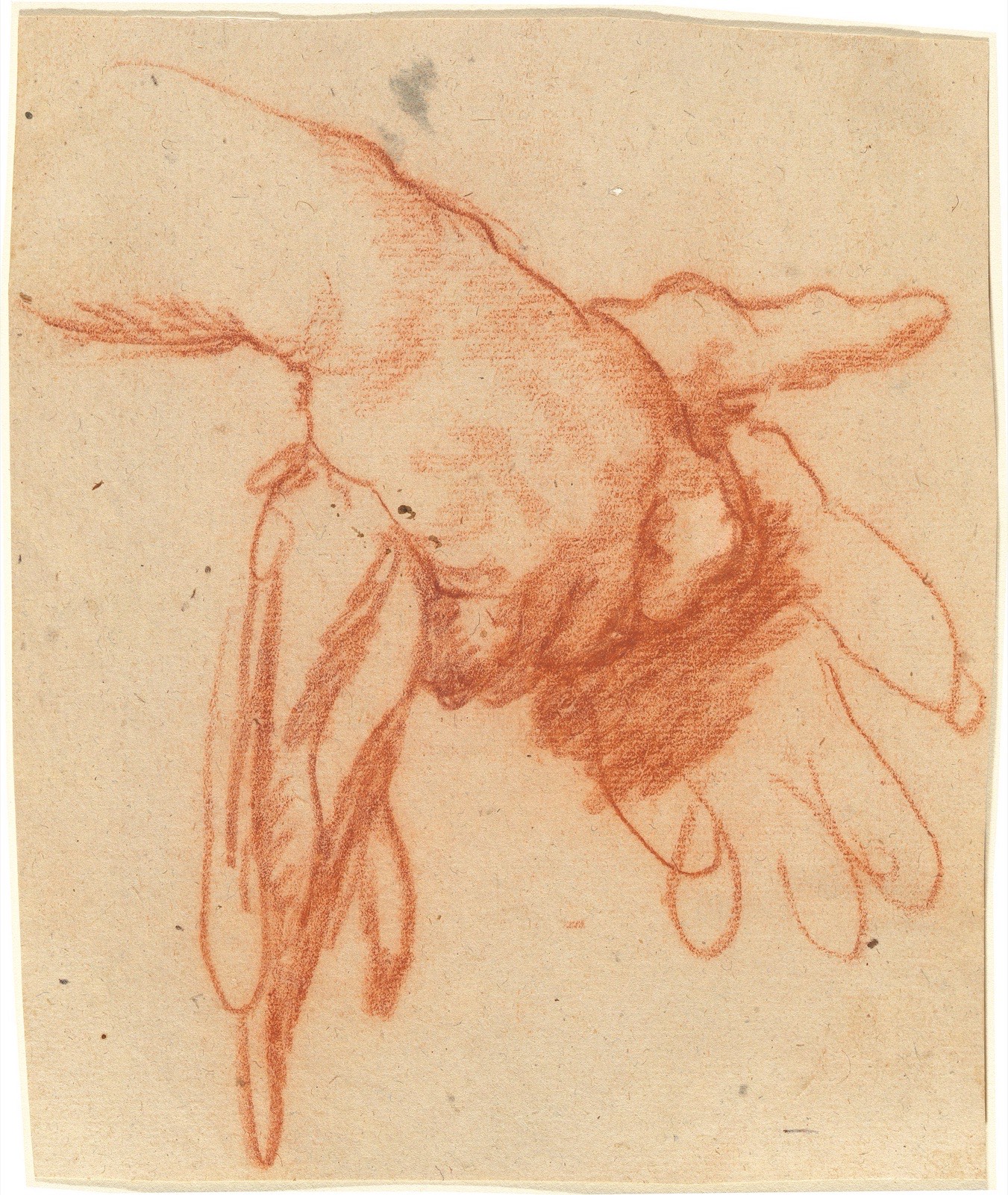 Bernardo Strozzi, A Hand Holding Empty Gloves, 1630s, NGA 74819 — Bernardo Strozzi