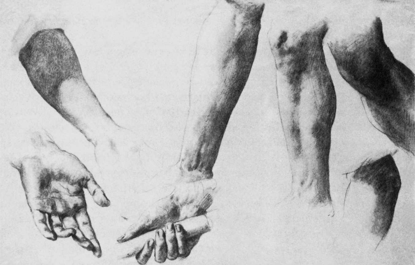 Brocky, Karoly - Arm, hand and leg studies (1848-50) — Károly Brocky