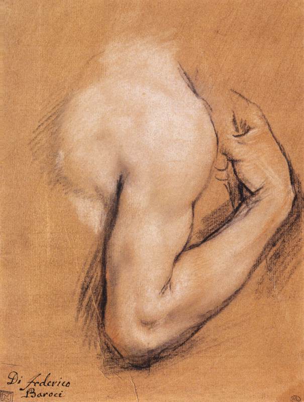 Federico Barocci - Study of a Bent Right Arm - WGA01288 — Federico Barocci