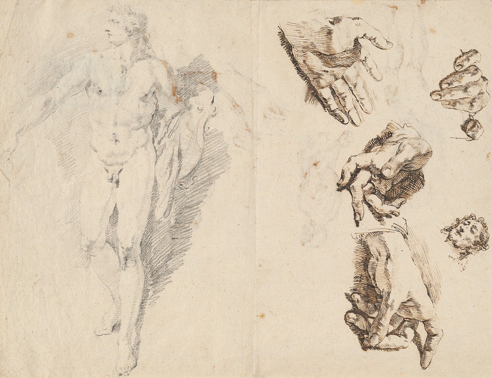 Francesco Fontebasso, Apollo and Studies of the Artist's Own Hand (recto), 1730-1732, NGA 71461 — Francesco Fontebasso