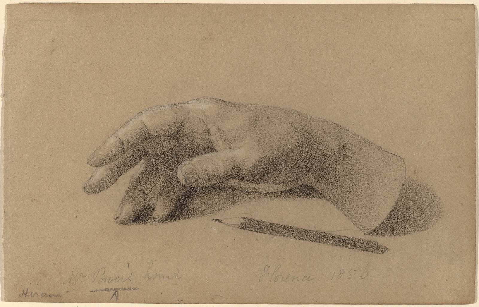 Hiram Powers, Study of a Hand, 1856, NGA 57047 — Hiram Powers