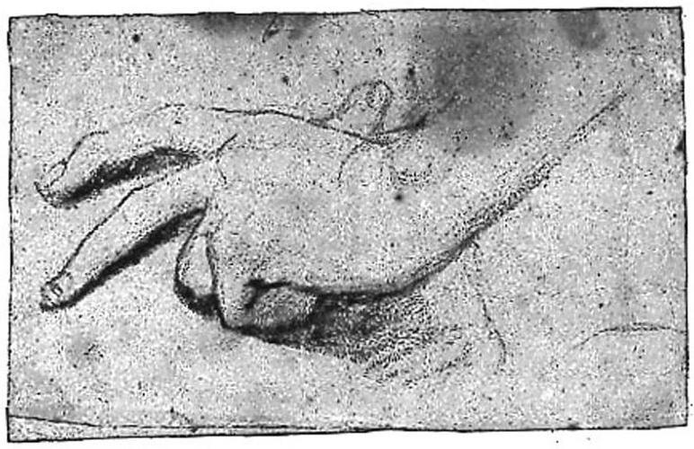 Ingres - MI.867.1003, Alexandre — Jean-Auguste-Dominique Ingres