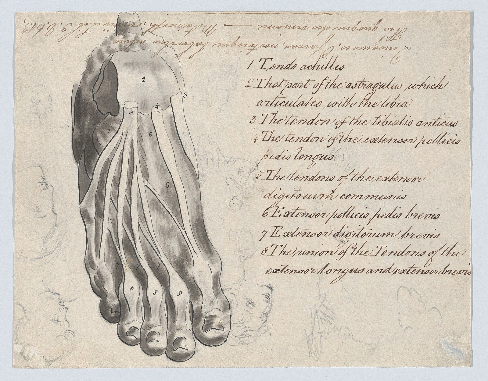 Historical Subject with Men and a Boy Near a Ship (recto); Anatomical Study of a Foot (verso) MET DP866798 — William Hamilton