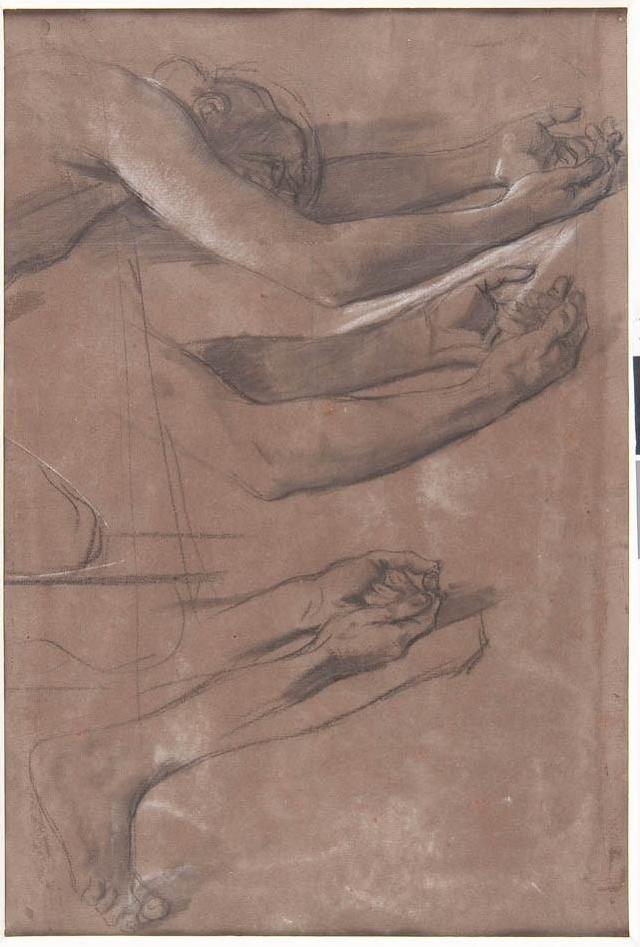 Ingres - MI.867.2234, Seleucos — Jean-Auguste-Dominique Ingres