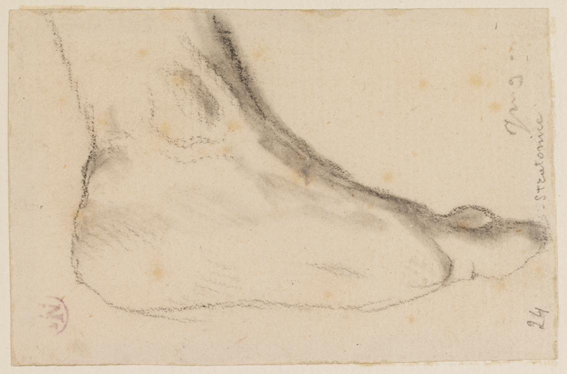 Ingres - MI.867.2236, Seleucos — Jean-Auguste-Dominique Ingres
