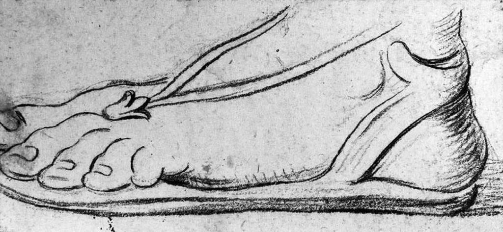 Ingres - MI.867.3606, Pied chaussé d'une sandale — Jean-Auguste-Dominique Ingres