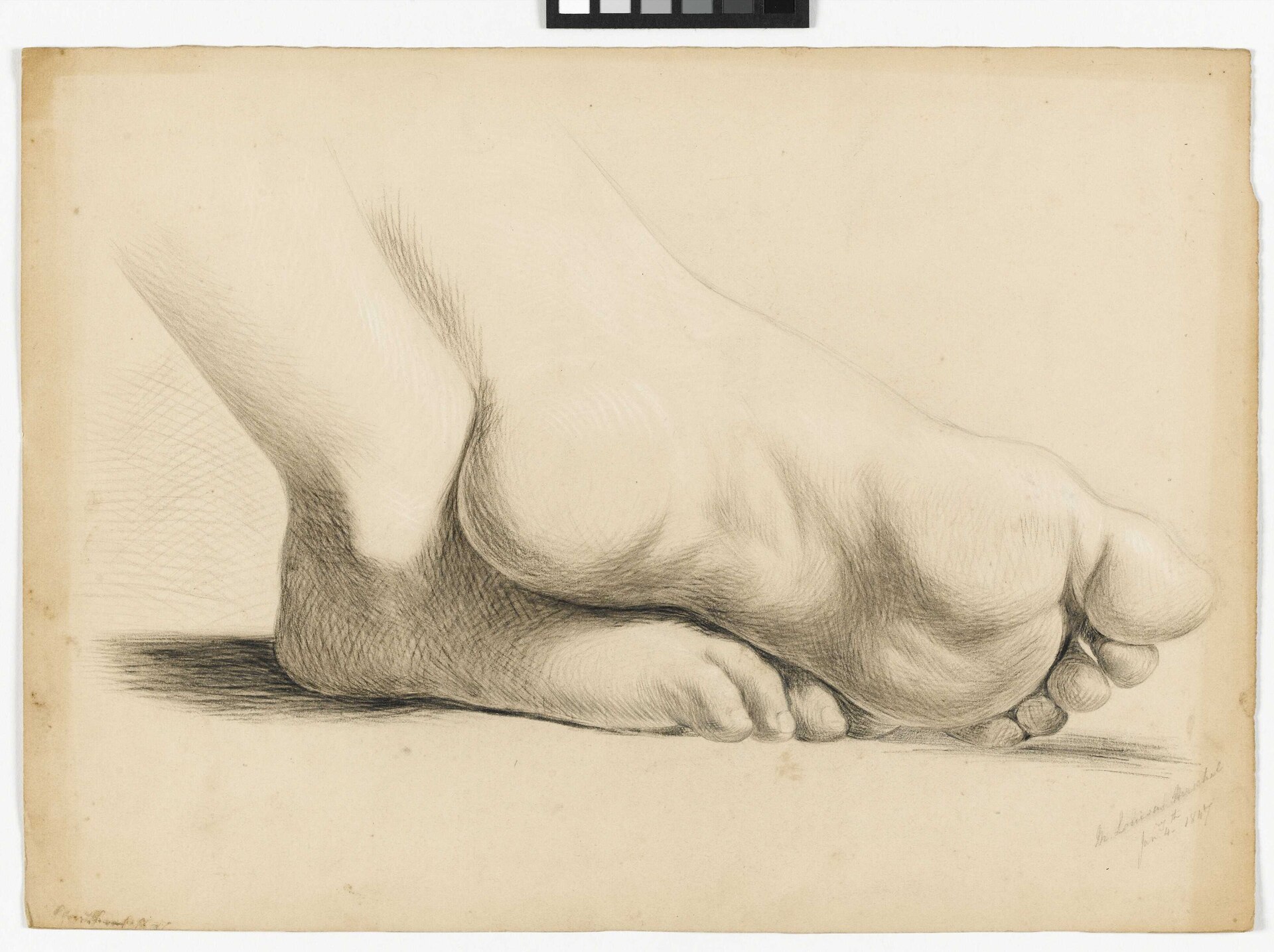 Study of a pair of feet crossed at the ankles RMG PY5986 — Margaret Louisa Herschel