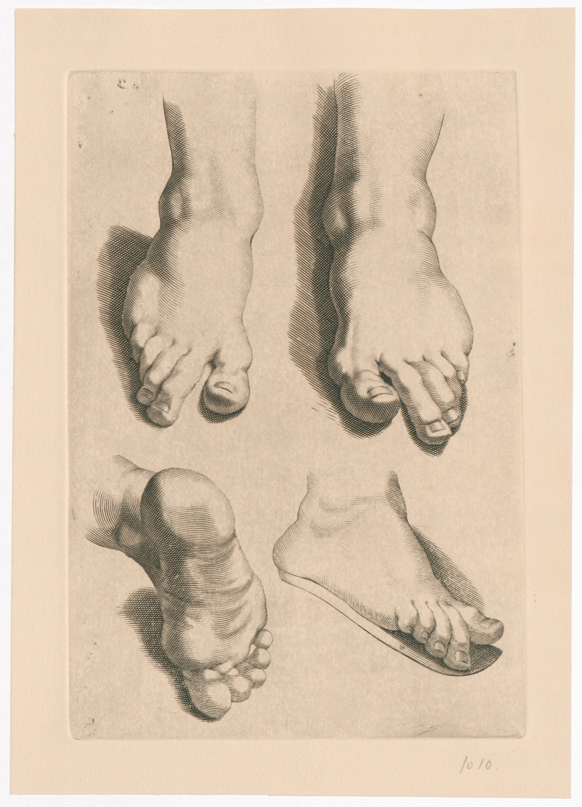 Tekenvoorbeeld van voeten, objectno PK.OP.16007 — Paulus Pontius, naar: Peter Paul Rubens, Alexander Voet