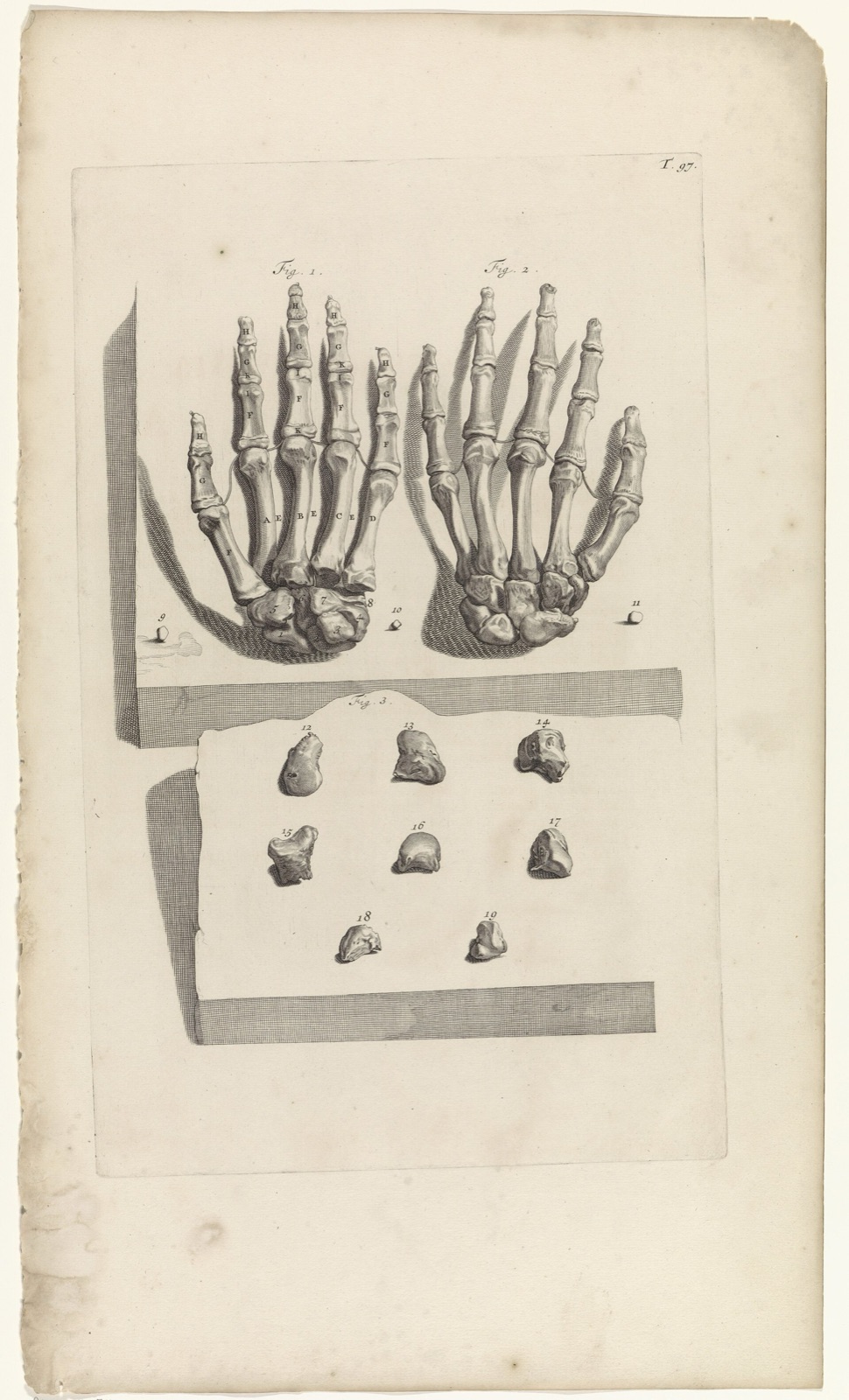 Anatomische studie van de beenderen van de handen, RP-P-OB-70.713 — Artista ignoto