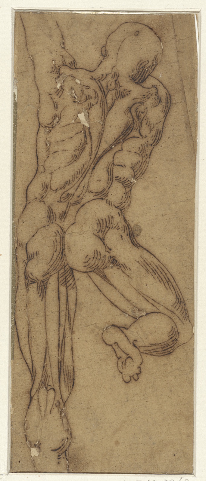 Naakte man op de rug gezien, RP-T-1946-92(R) — Artista ignoto