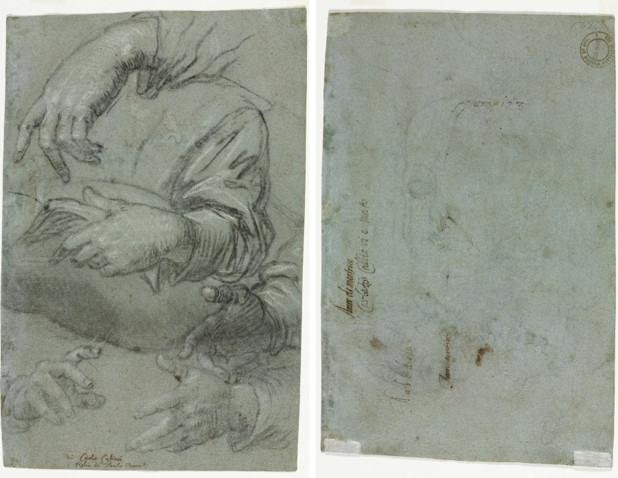 Studies of Hands (recto); Sketch of a Child's Head (verso) — Carletto Caliari