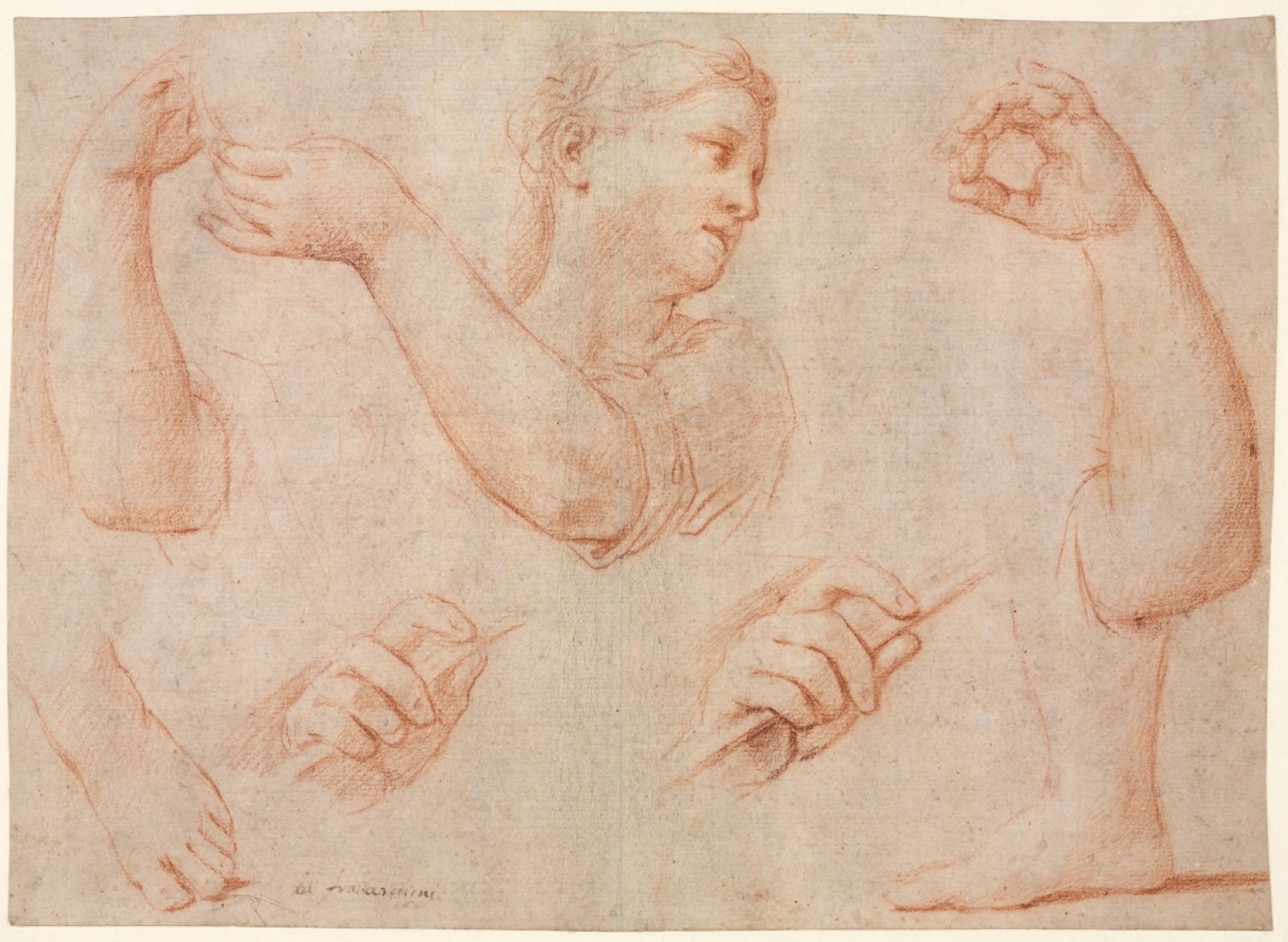Study of a Young Woman Playing a Tambourine, and Studies of an Arm, Hands, and Feet (Studies for  "Miriam Leading the Chorus of Women Who Give Thanks for the Routing of Pharoah" — Marcantonio Franceschini