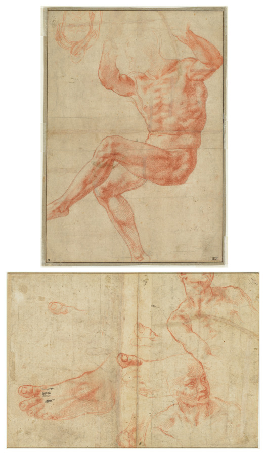 Study for the Nude Youth over the Prophet Daniel (recto); Figure Studies for the Sistine Ceiling (verso) — Michelangelo Buonarroti