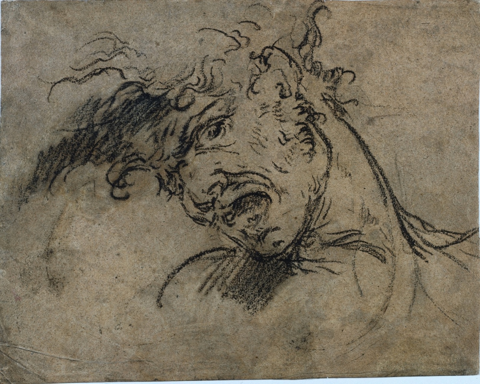 Head of a Screaming Man (recto) — Benjamin West