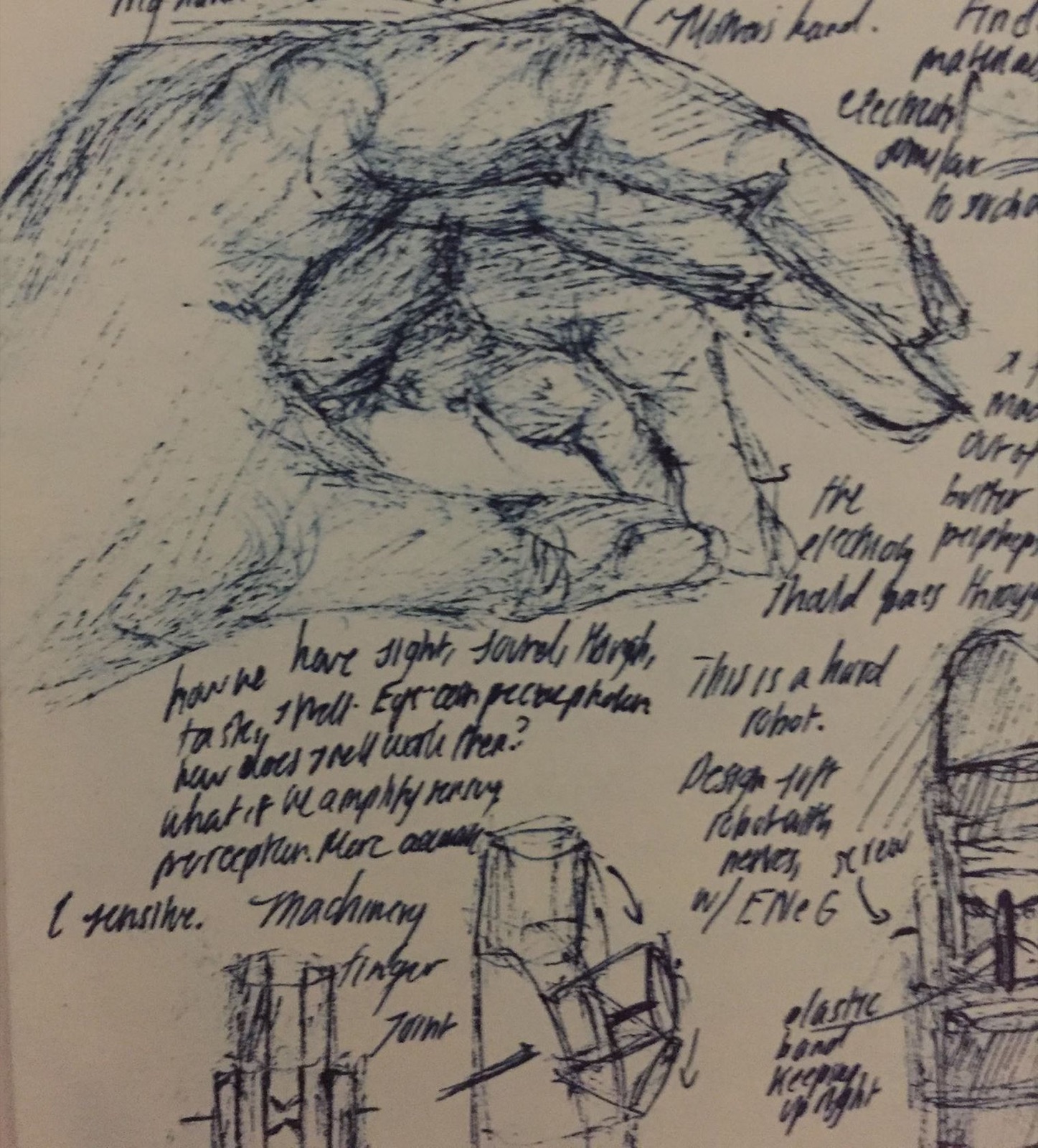 Human Hand Drawing — Celineshaw