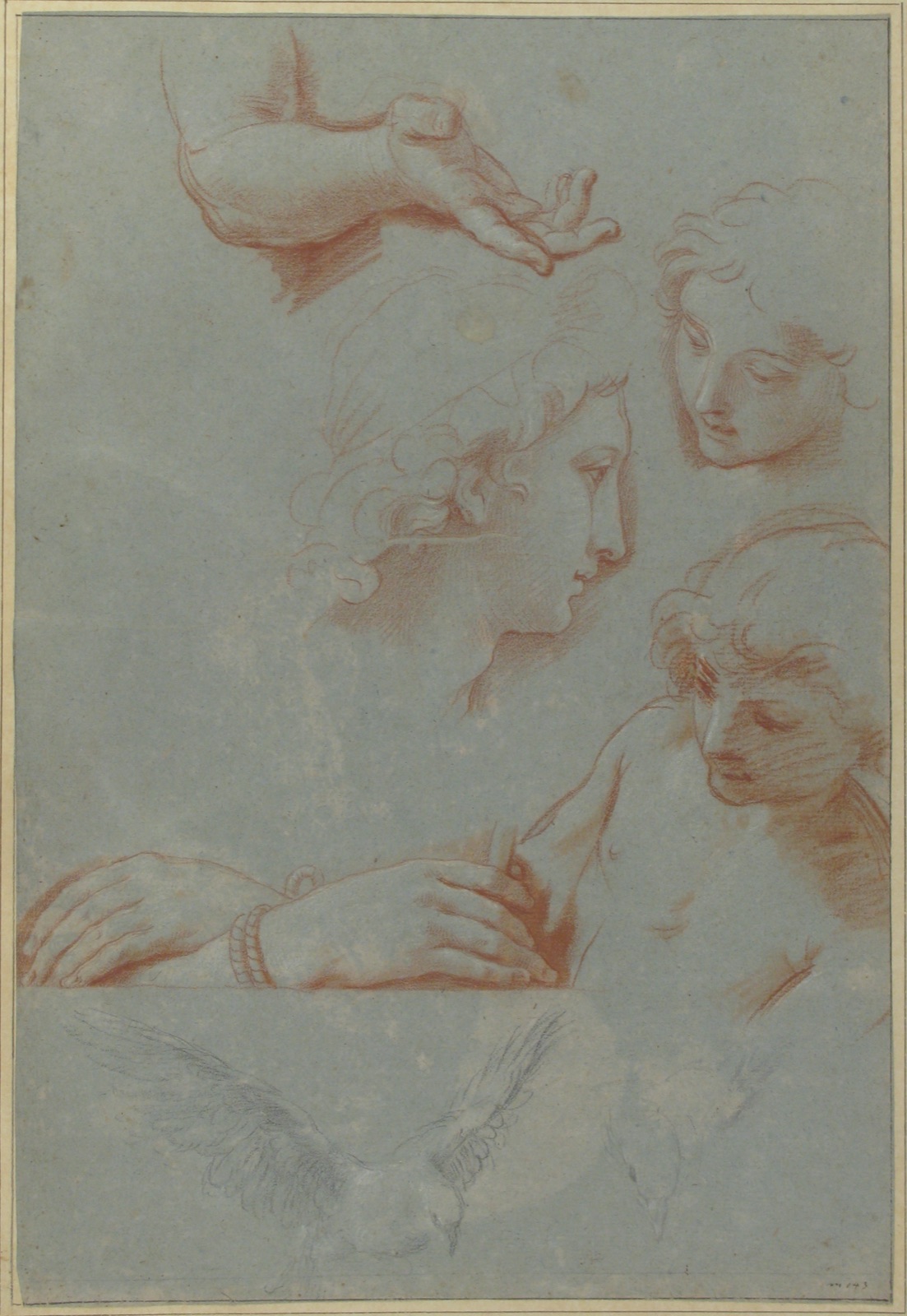 Sheet of Studies- Heads, Hands, and Doves MET 66.54.2 — Luigi Garzi