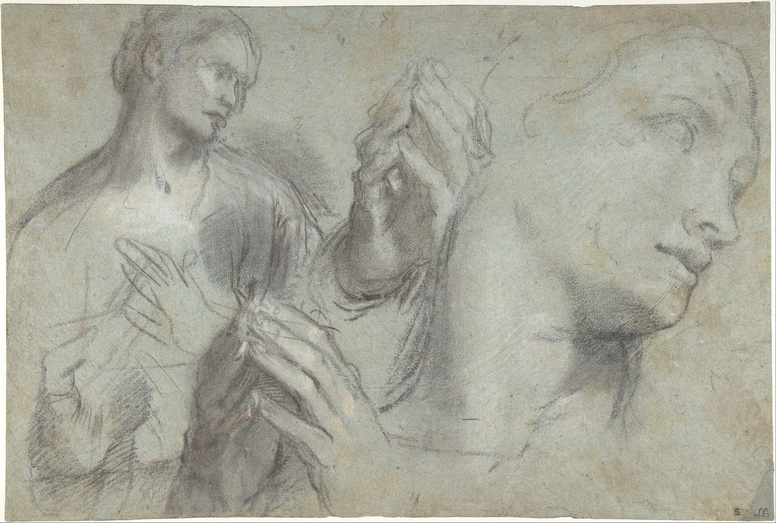 Studies of a Man's Head and of His Hands MET DP800154 — Federico Barocci