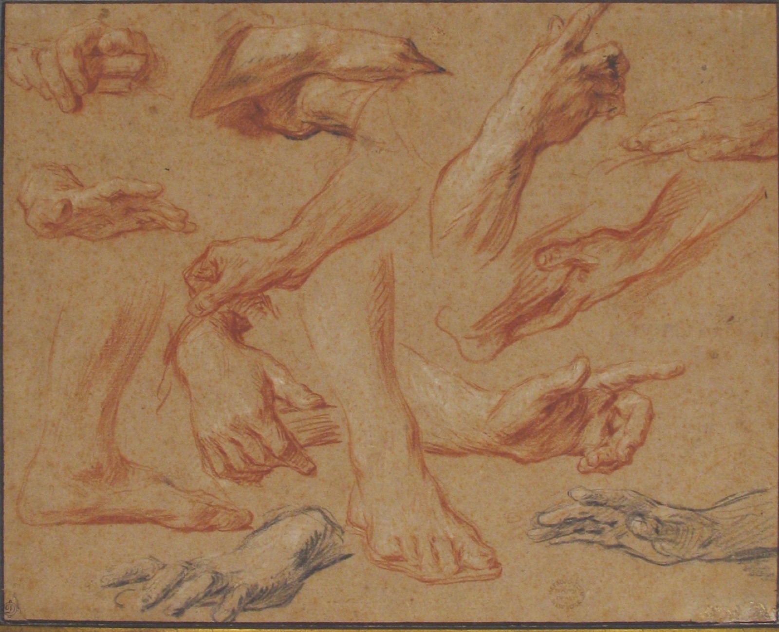 Studies of Hands and Feet MET 06.1042.11 — François Lemoyne