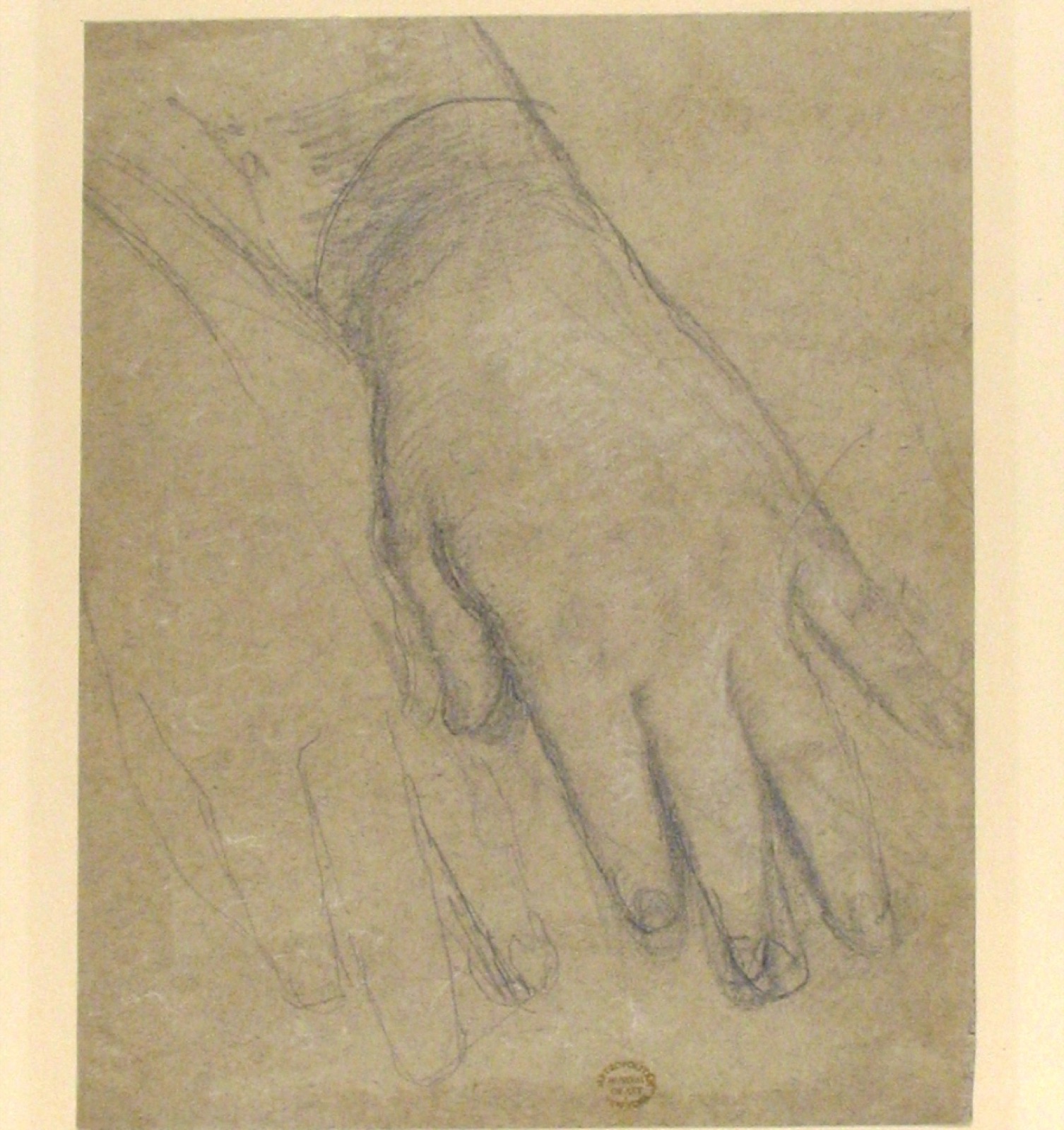 Study of a Hand MET 07.282.15 — Artista ignoto