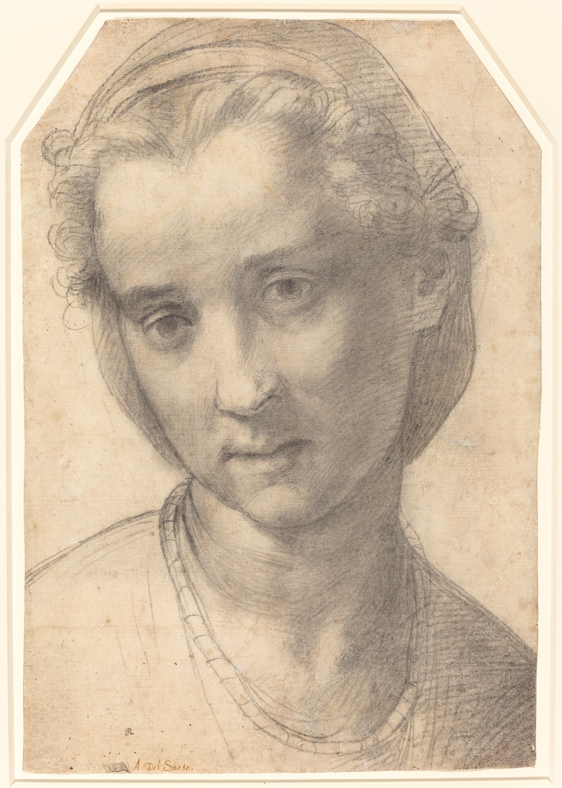 Andrea del Sarto, Head of a Woman, c. 1515, NGA 74168 — Andrea Sarto