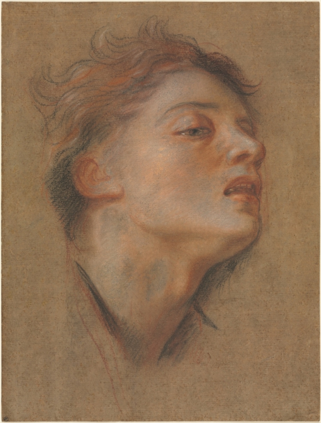 Head of a Young Man — Antoine Coypel