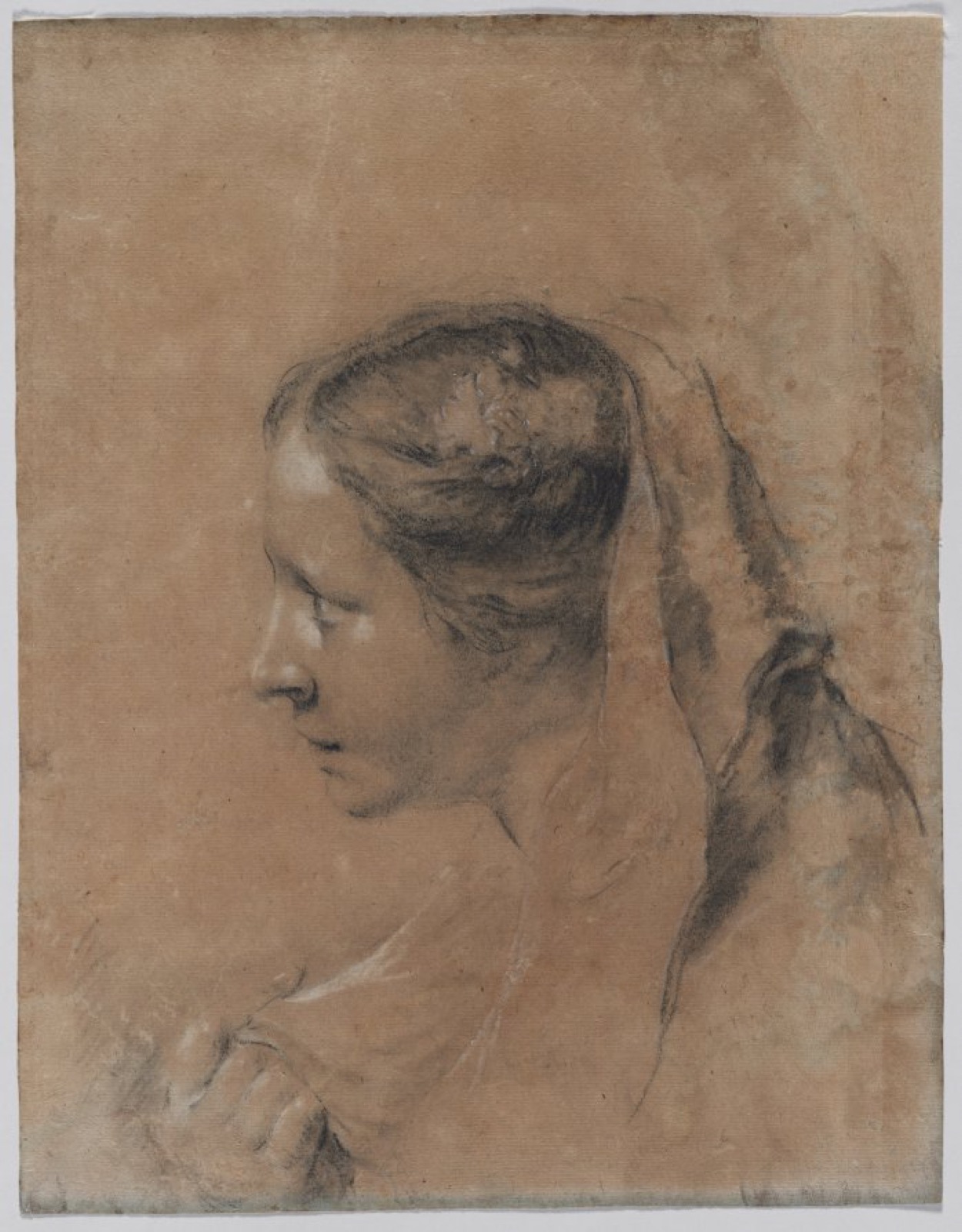 Head of a Woman in Profile with a Scarf — Giovanni Battista Piazzetta