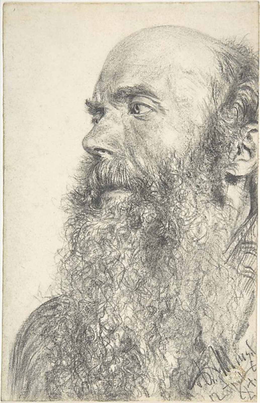 Head of a Bearded Man — Adolph Menzel