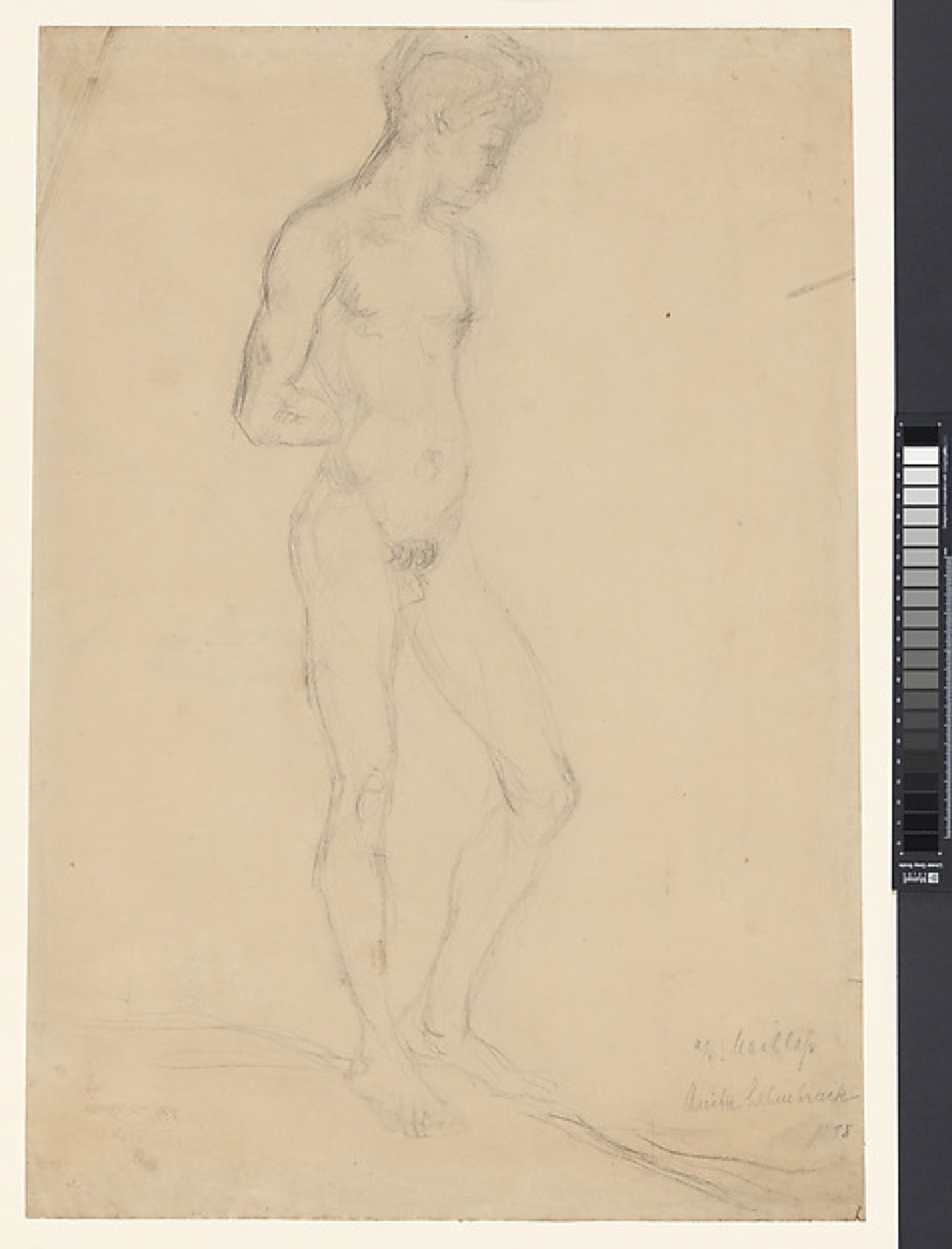 Male Nude Model — Wilhelm Lehmbruck