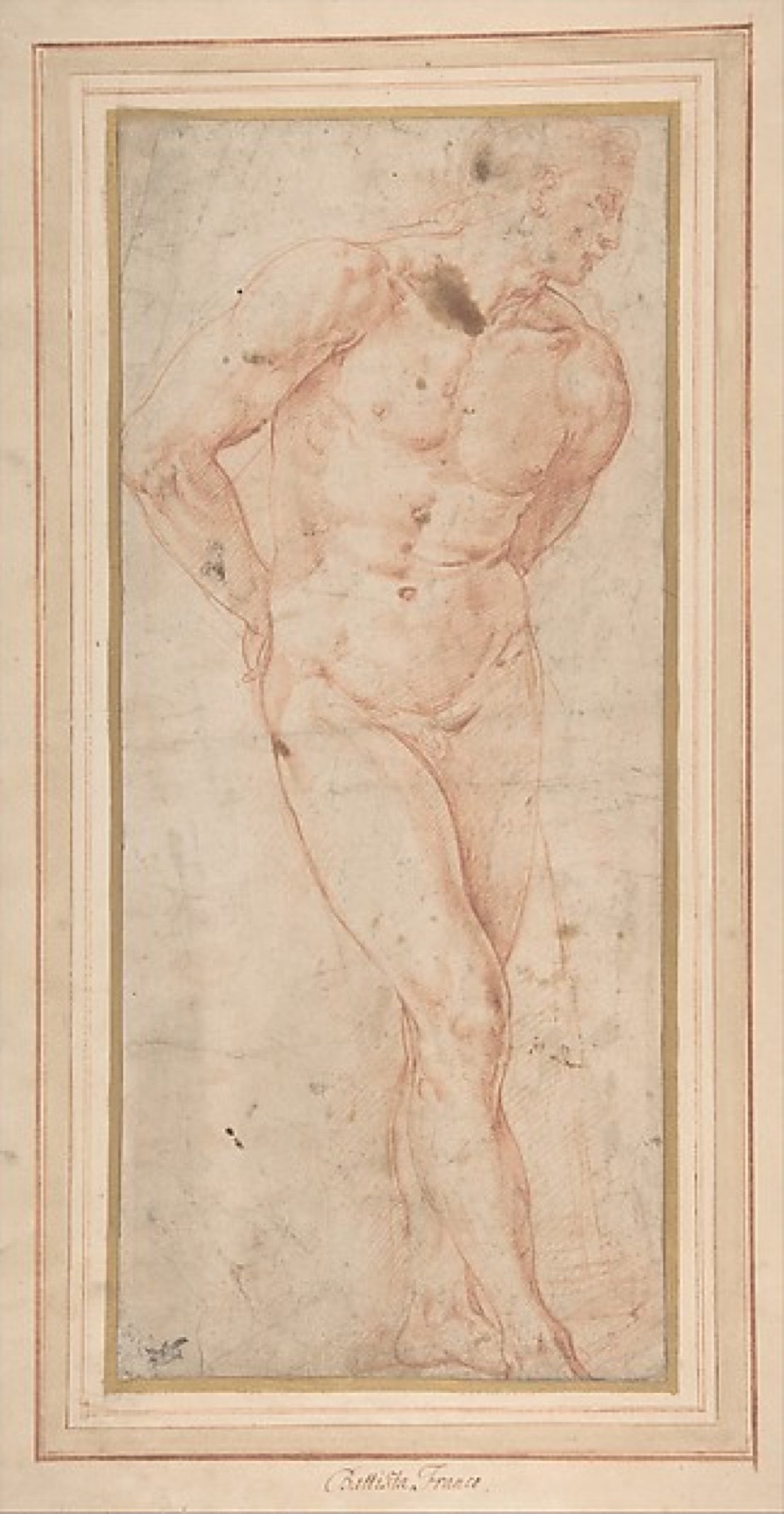Standing Male Nude with Hands behind Back — Battista Franco