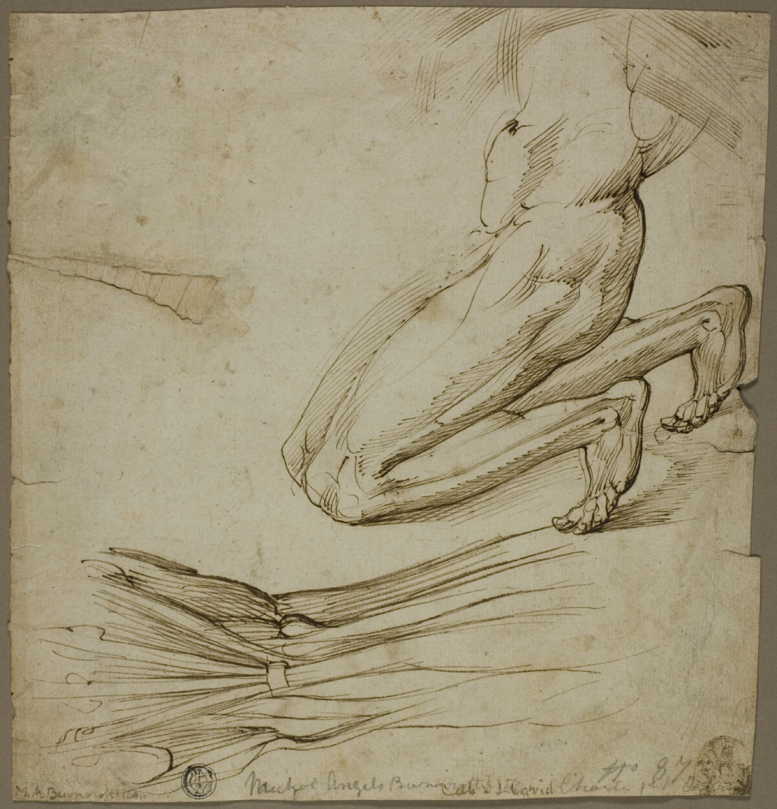 Anatomical Study and Sketch of Kneeling Figure — Follower of Michelangelo Buonarroti