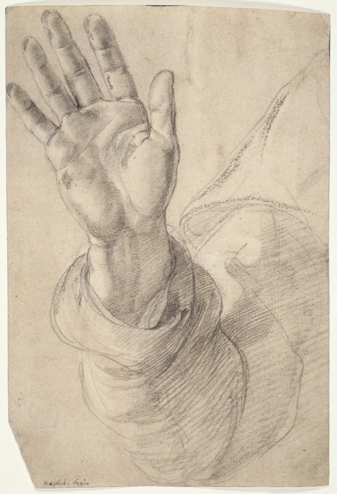 Upraised Right Hand, with Palm Facing Outward: Study for Saint Peter — Raffaello Sanzio, called Raphael