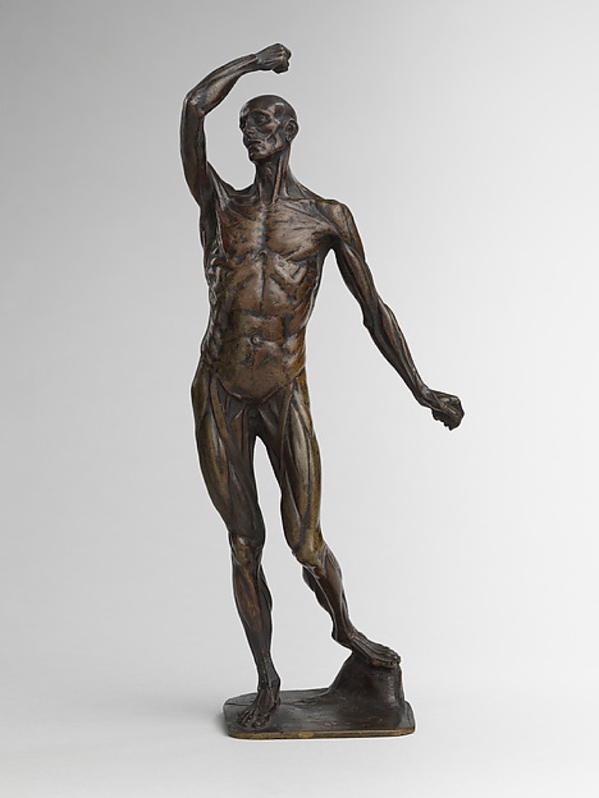 Ecorché — Michael Henry Spang